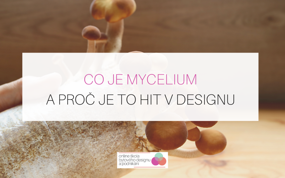 Co je mycelium a proč je to hit v produktovém designu